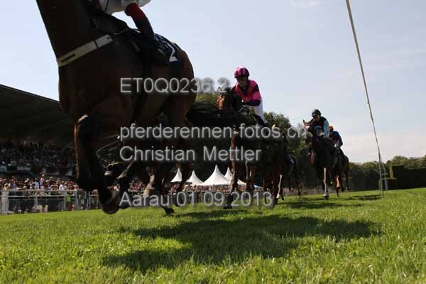 ET0Q0236.2 prot